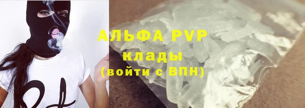 ECSTASY Нефтекумск