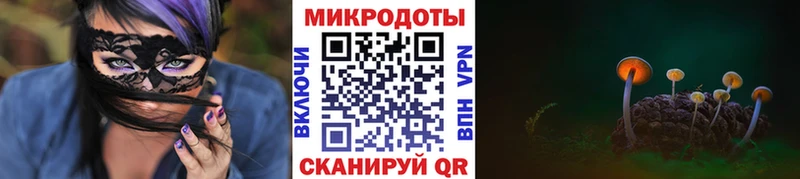 блэк спрут сайт  Пугачёв  Псилоцибиновые грибы GOLDEN TEACHER 